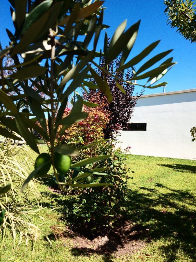 Loft Los Cerezos En Vistalba, Zona De Vinedos Y Bodegas Lujan de Cuyo Exterior photo